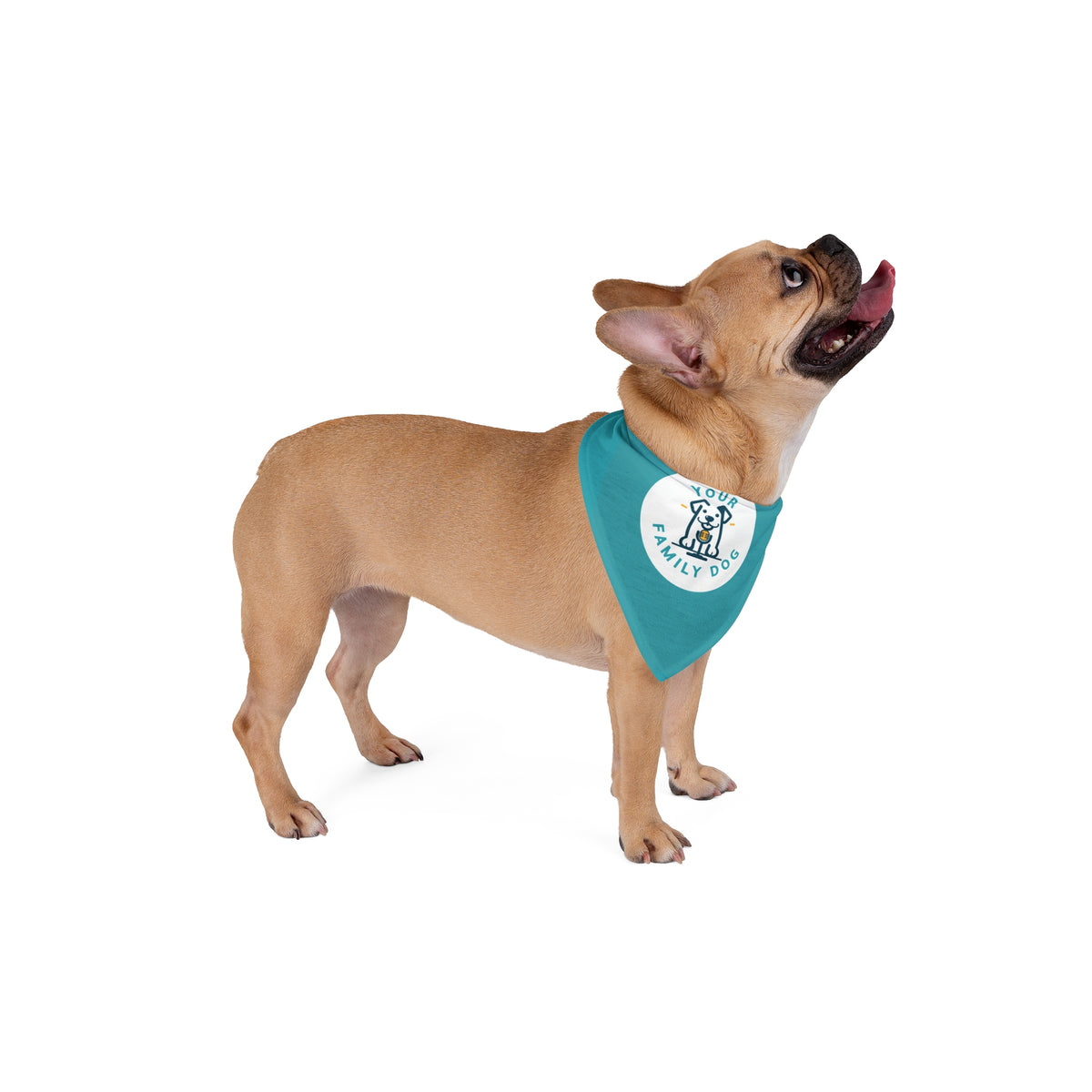 Teal "Your Family Dog" Pet Bandana - Cute Dog Portrait Accessory